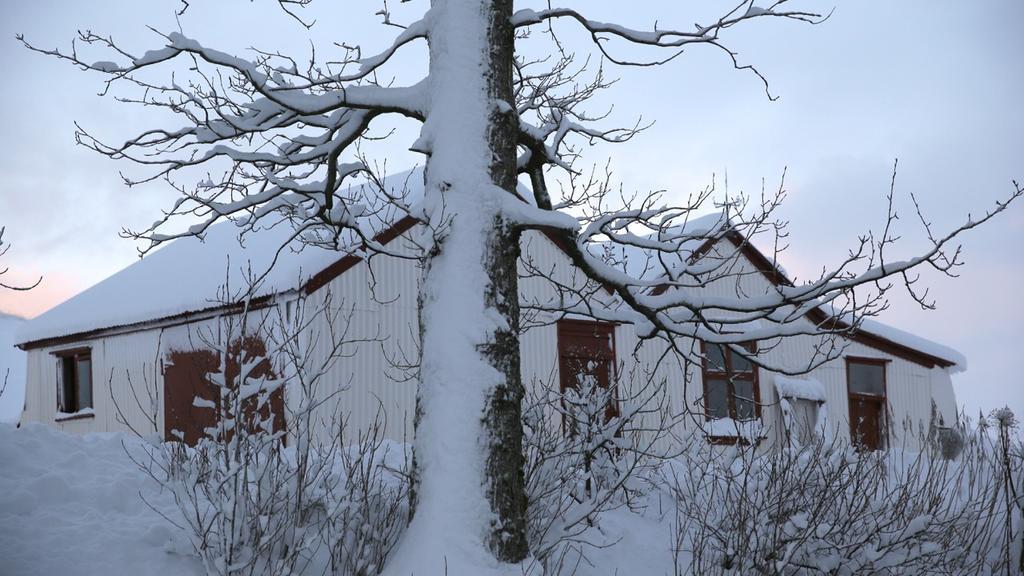 Sel Guesthouse Skálholt Esterno foto
