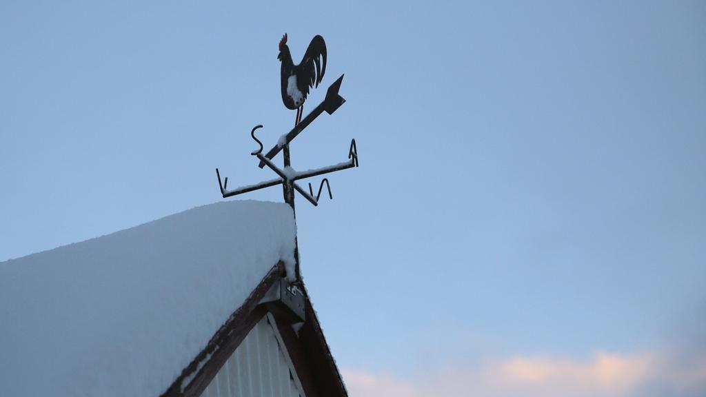 Sel Guesthouse Skálholt Esterno foto